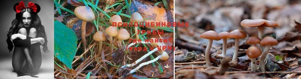 кристаллы Балабаново
