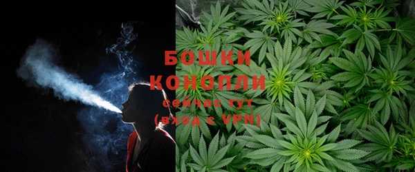 Альфа ПВП Пересвет